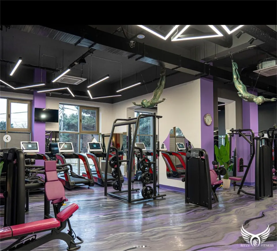 AZERBAIJAN 600-SQUARE-METER MIXED GENDER GYM-RITZY FITNESS (5)_jHhpsZ1c.webp